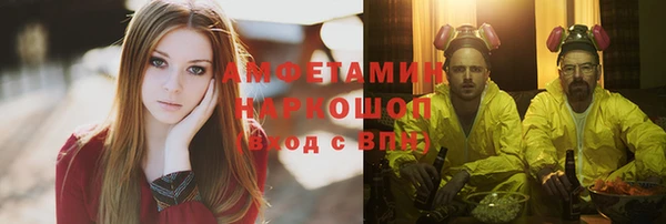 СК Алексин