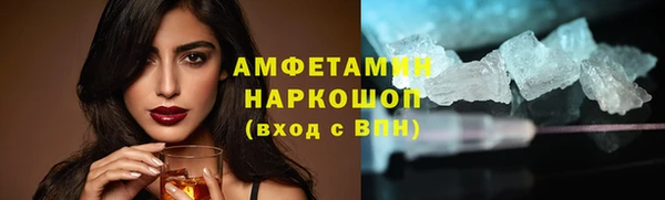 СК Алексин