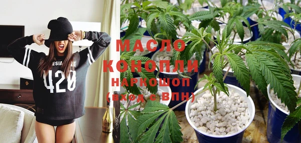 СК Алексин