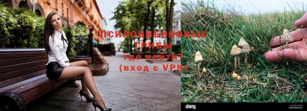 MDMA Алексеевка
