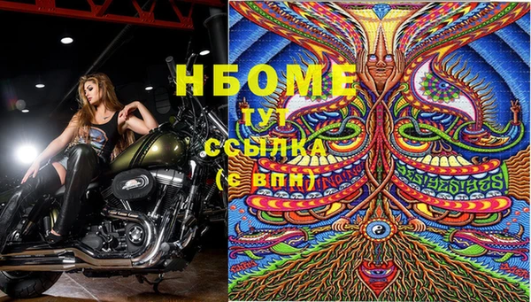 СК Алексин