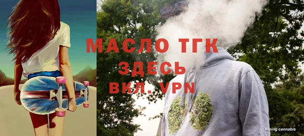 СК Алексин