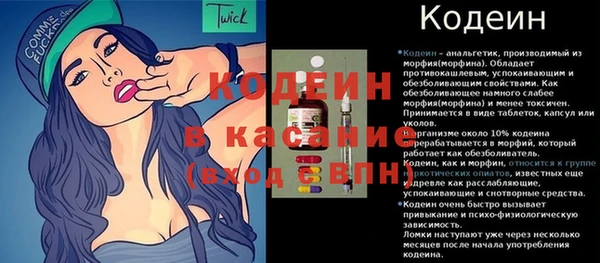 гашик Осташков