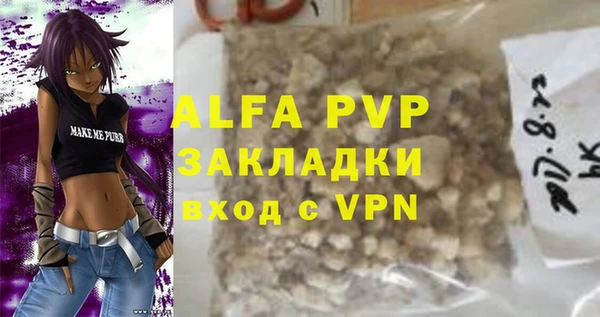 СК Алексин