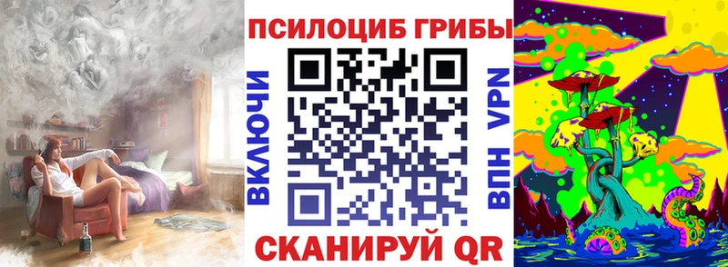Псилоцибиновые грибы Magic Shrooms  купить наркоту  ОМГ ОМГ ТОР  Новоаннинский 